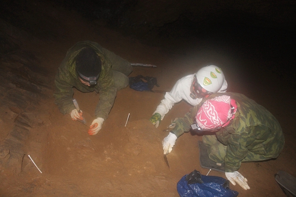 Итоги полевого сезона 2015 года в Южно-Уральской археологической экспедиции
