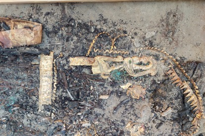 Погребение сарматского воина-аристократа. Кожаный колчан со стрелами, покрытый золотыми пластинами (в том числе в зверином стиле)