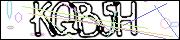 CAPTCHA CODE